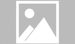 动漫胖次,探寻动漫世界的秘密守护者