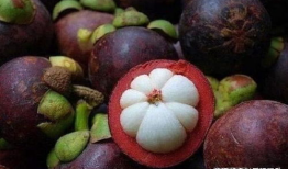 山竹视频,揭秘自然奇观背后的科学奥秘