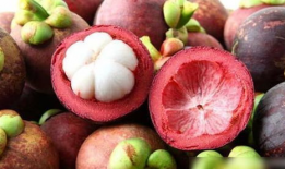 山竹视频,揭秘自然奇观背后的科学奥秘